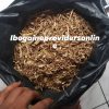 Buy Iboga Root Bark